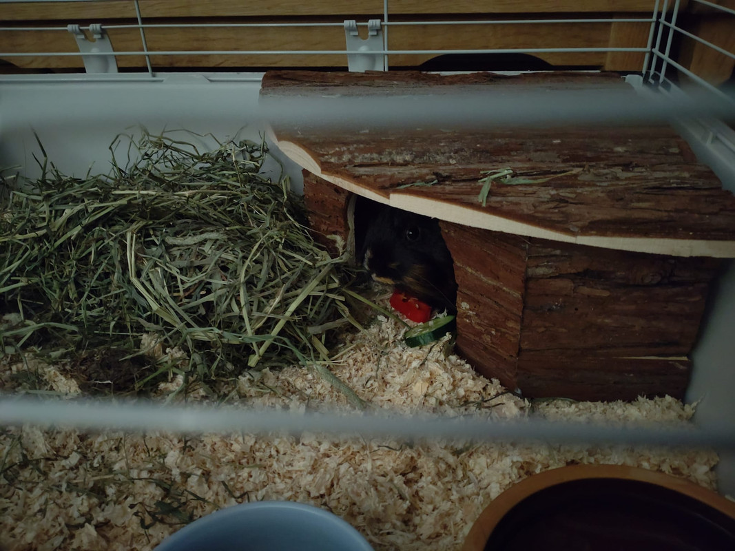 Bompi 6. august 2023