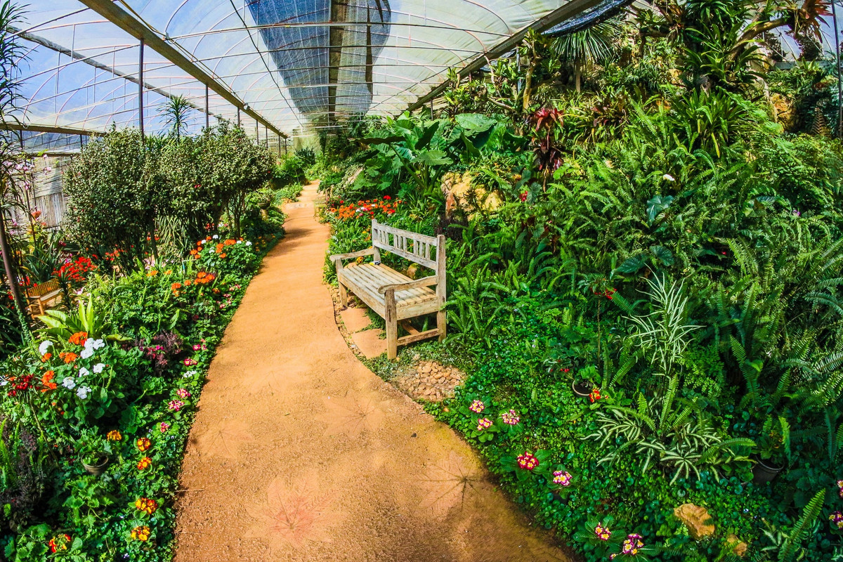Greengreenhousegarden.jpg