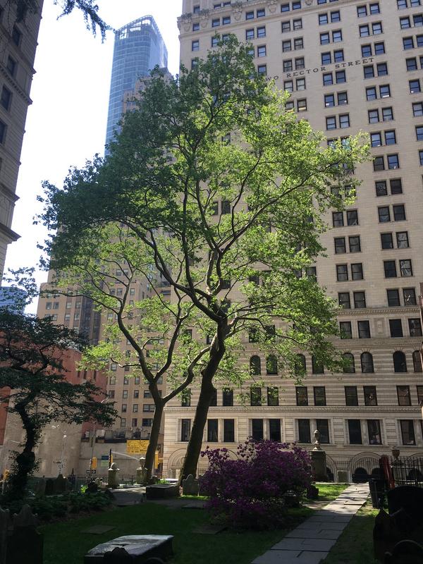 83674BB2-92C2-446B-981A-88E0A9C491A6