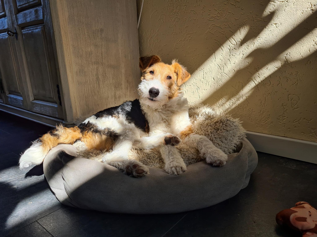 D6288EEE-DF50-4119-935C-0AFA90956099