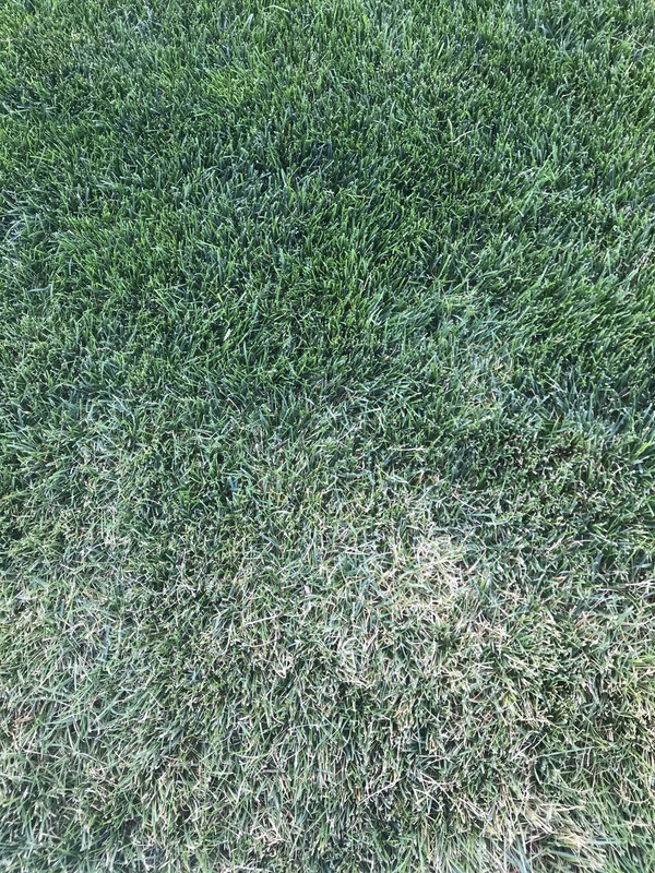 5A6F6B6C-C82E-4C8F-875F-D03B86CDAF9A