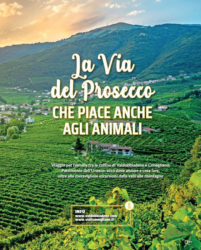 QuattroZampe Nov 2022 (8)