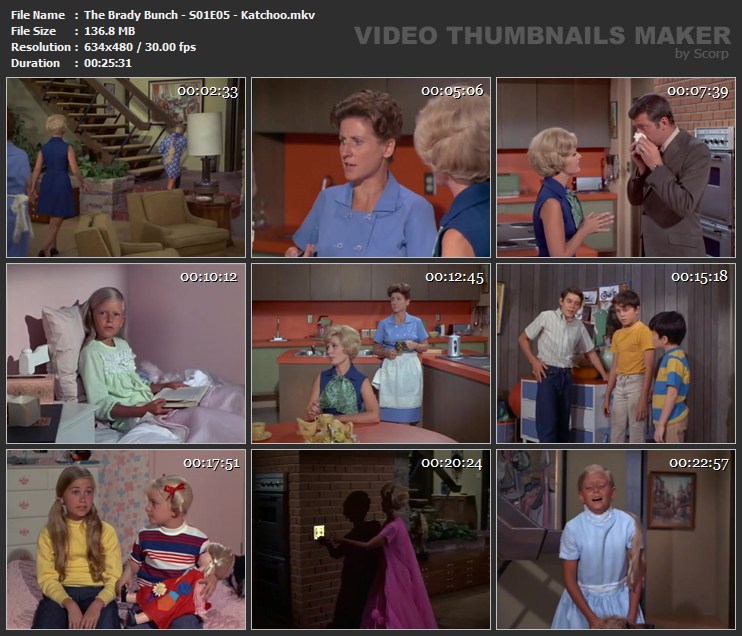 The Brady Bunch - S01E05 - Katchoo.mkv