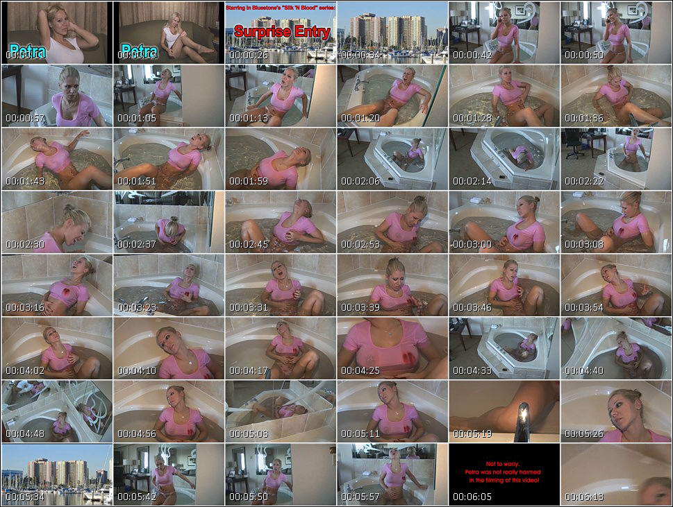 sleeping_sex_video_1741.wmv