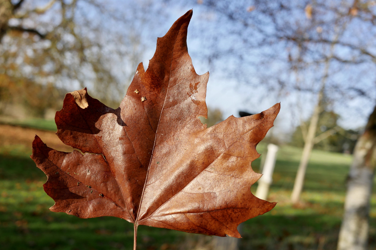 4BCDD3A8-9843-4229-B5AB-40FAEE0AFABF