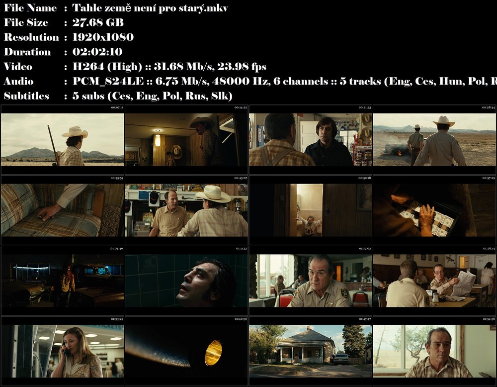 Re: Tahle země není pro starý / No Country for Old Men (2007