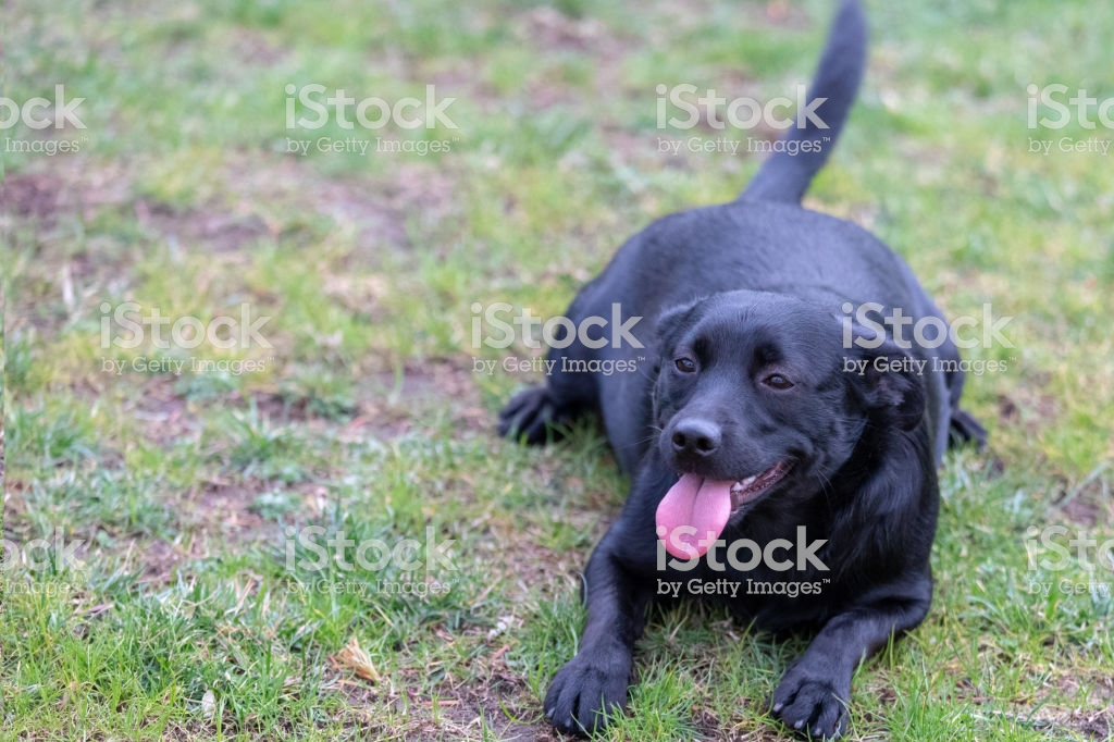 C857C363-9A54-4621-8FC3-7A3452CFB917