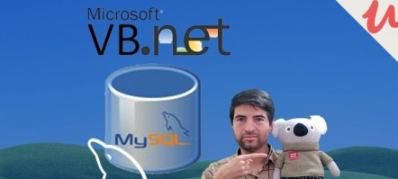 MySQL in VB.Net : Design SQL Pro Database Apps in VB & MySQL