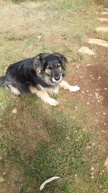 [Image: IMG-20240318-WA0019.jpg]