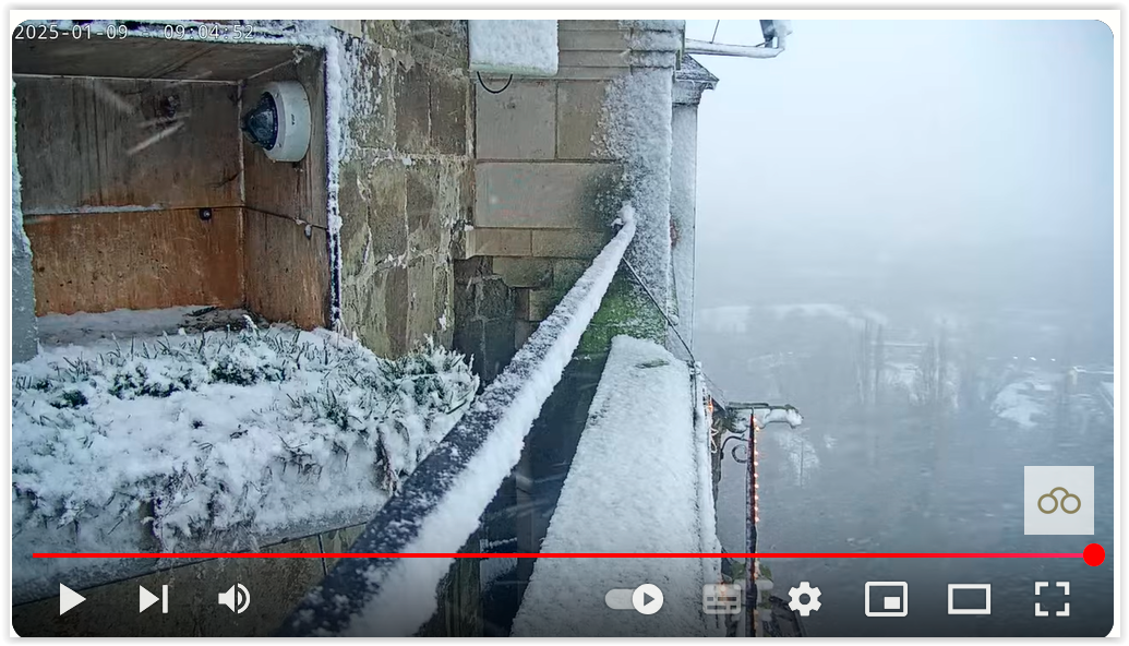 Screen Shot 01-09-25 at 09.06 AM