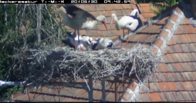 2020-06-30_101040riadó