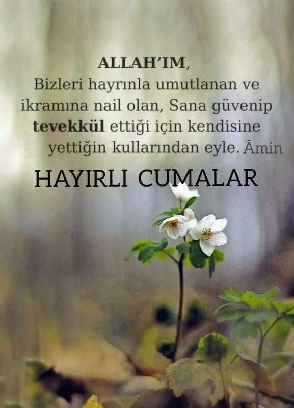 resim