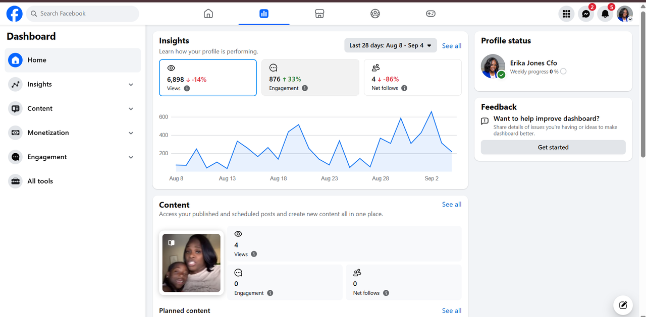 Paid advertising campaign proof