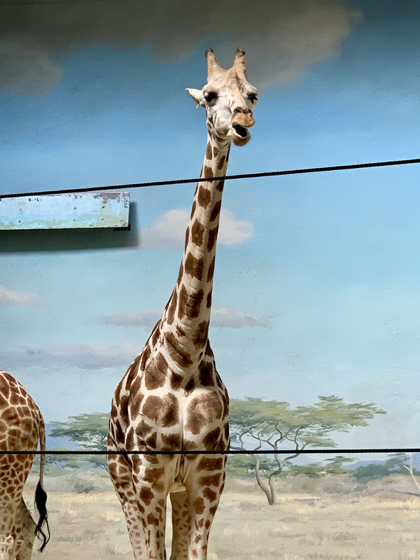 F8F09B60-DAFB-47B6-A665-0DC0AA8B0288