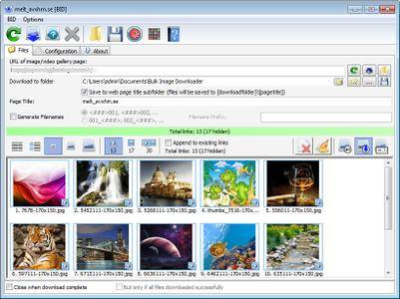 Bulk Image Downloader 5.34.0 Multilingual