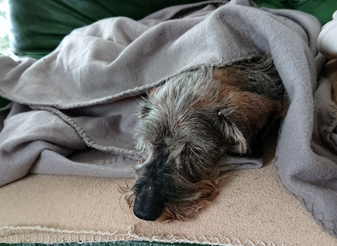 [Image: 20240110-140154.jpg]