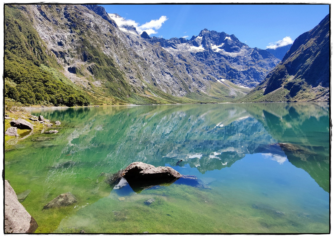 Fiordland NP: Kepler Track (febrero 2022) - Escapadas y rutas por la Nueva Zelanda menos conocida (56)