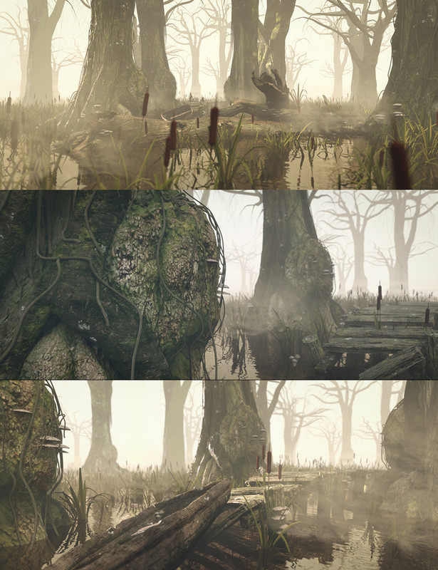 The Misty Swamp The Misty Swamp