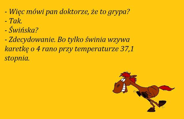 https://i.postimg.cc/G23mZjDH/grypa.jpg