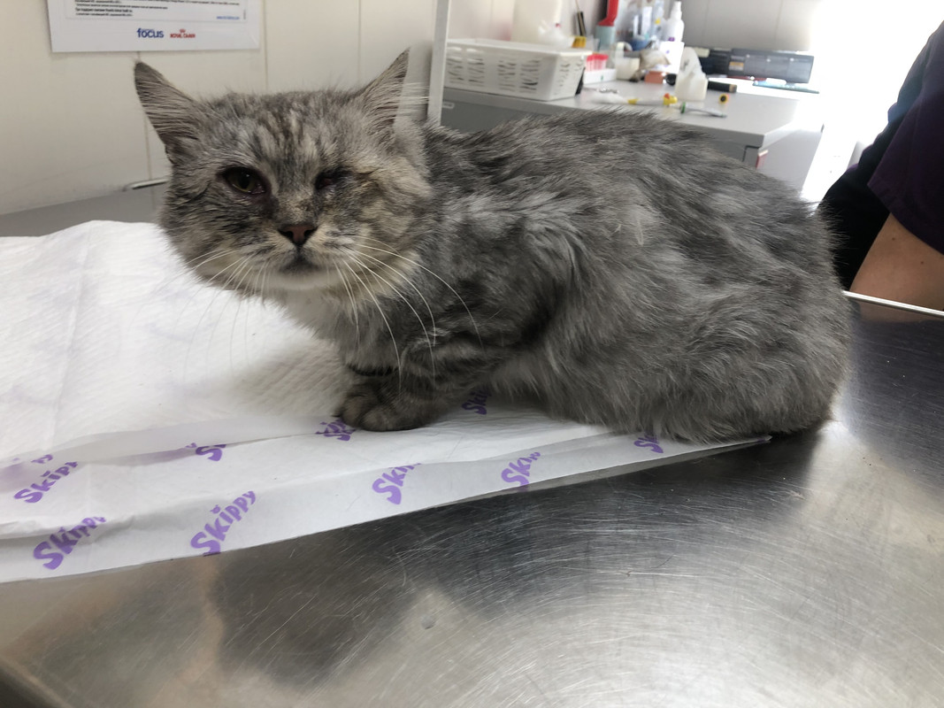 AA522DD7-8521-443E-8FCD-B6641862A755