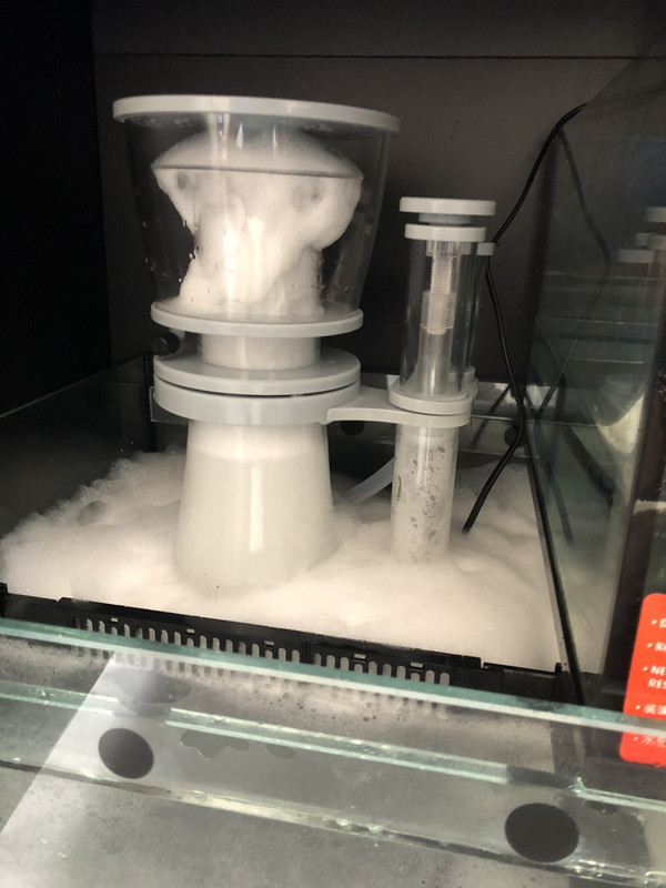 65A98867-A70C-43B4-ACB5-A41CC3E1410B