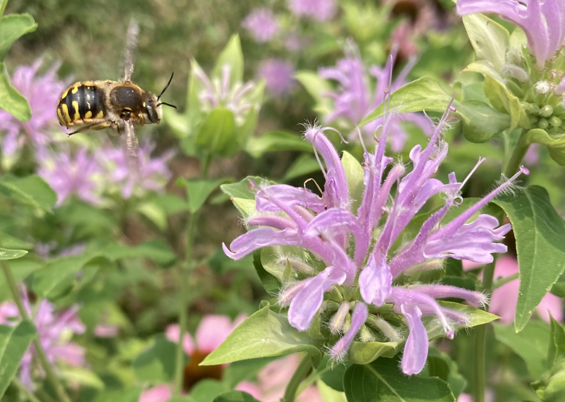 6A9DDF9B-C672-477B-B50C-E9137BECCDB9