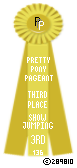 Show-Jumping-136-Yellow.png