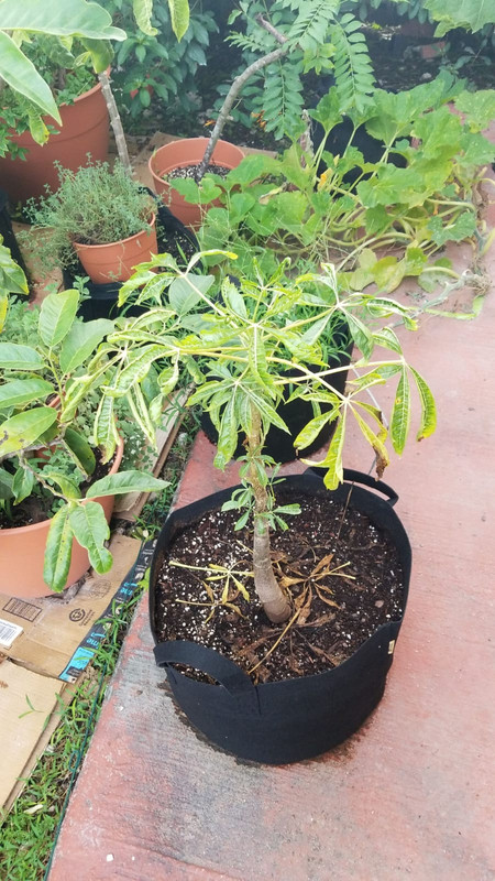 1436911B-17A5-469A-804F-521F6CAEA6B3