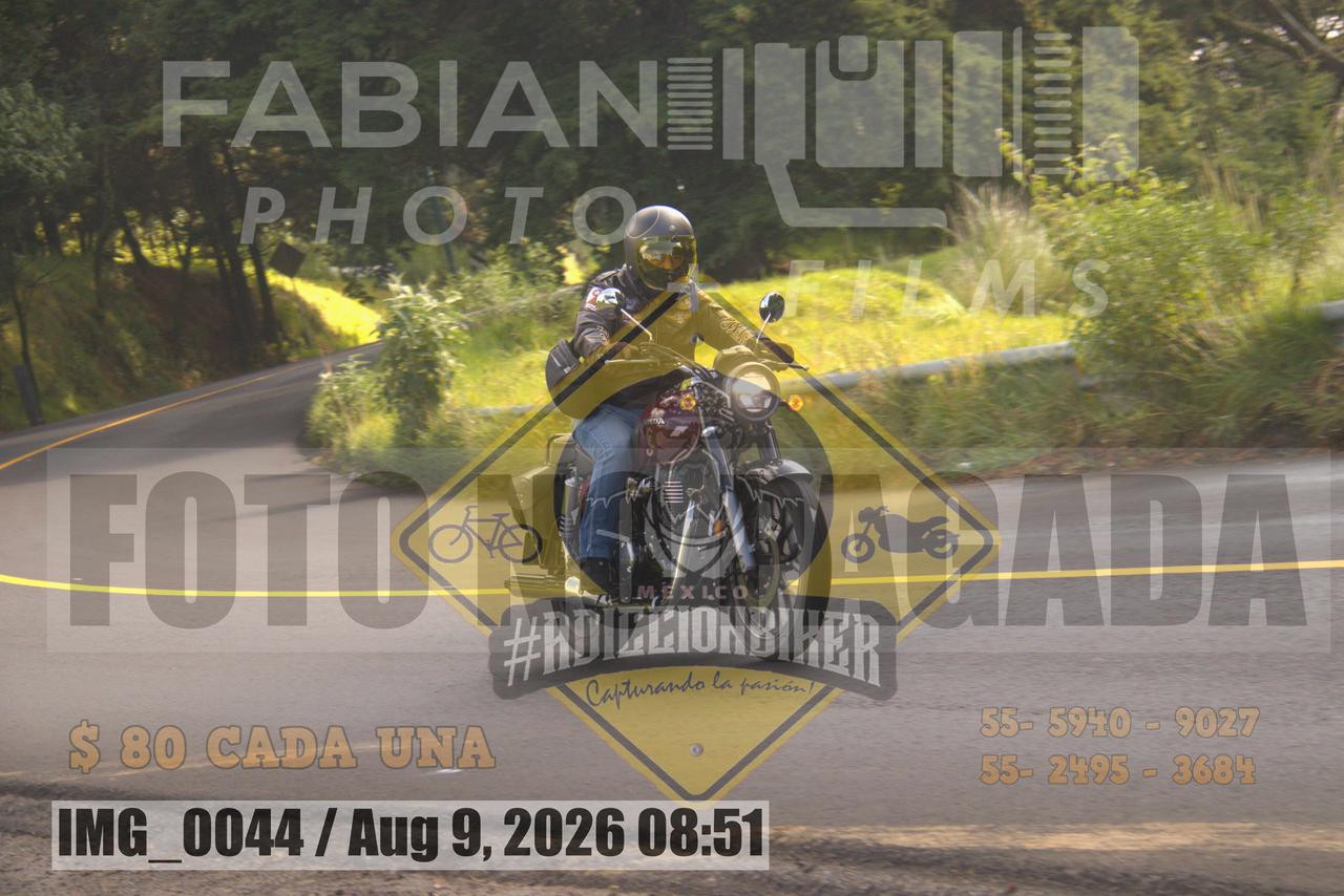 IMG 0044