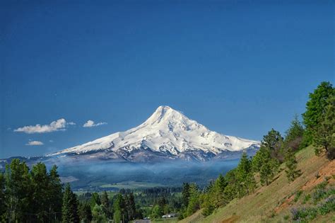 mt-hood.jpg