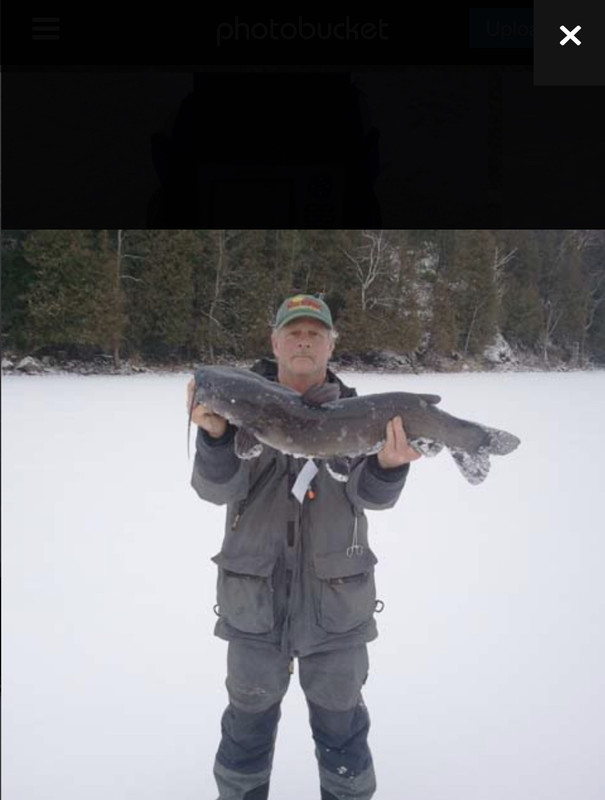 CA41341B-89CD-4E64-90A5-EAC08059FA06