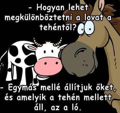 https://i.postimg.cc/G24yQ87B/hogyan-lehet-8.jpg