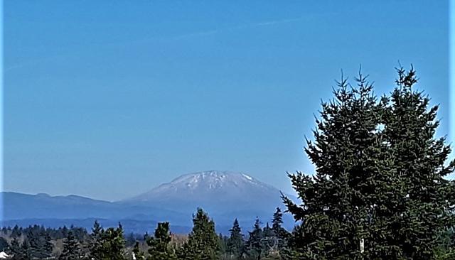 Mt-St-Helen-s-best.jpg