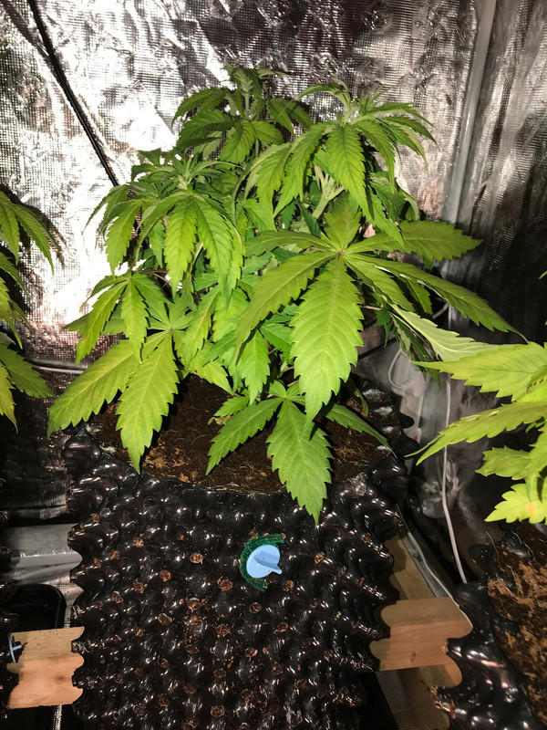 3684629F-1360-4EE7-9202-0DEA960179B3