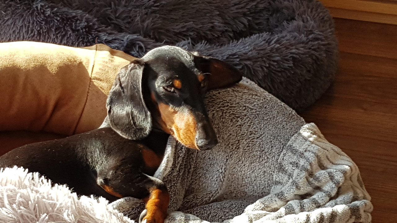 [Image: 20201106-135556.jpg]