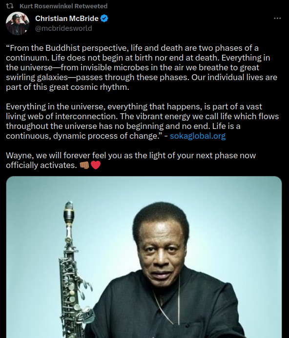 lavdis.png
