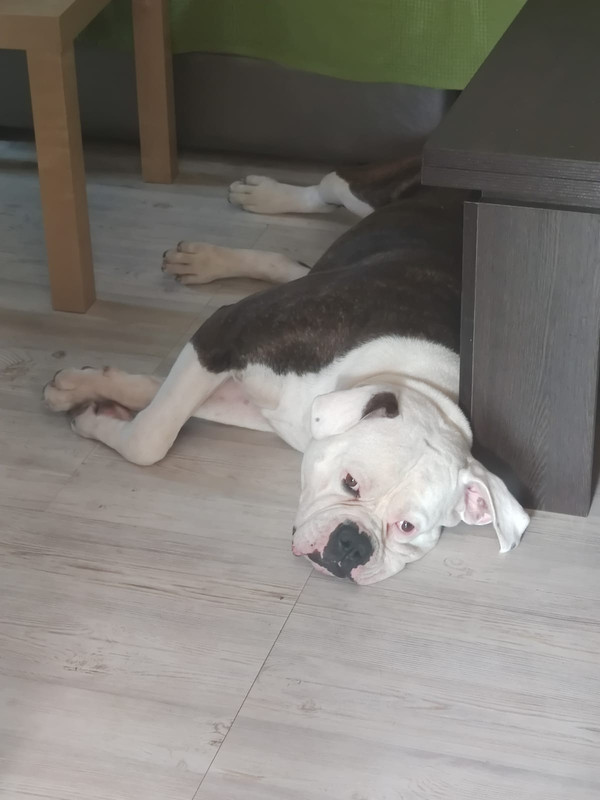 207D26B4-E7D3-4602-8EF3-B640BDAA42B5