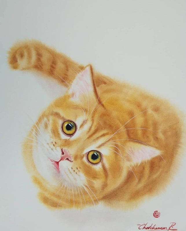 09