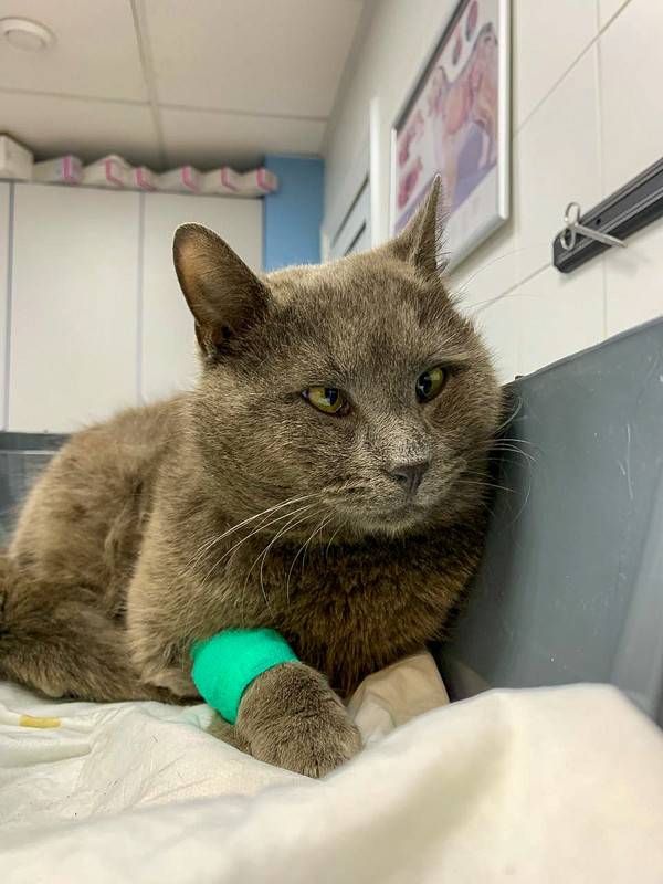 A2A39259-F4DE-4E1B-9BD1-1CB479B0675C