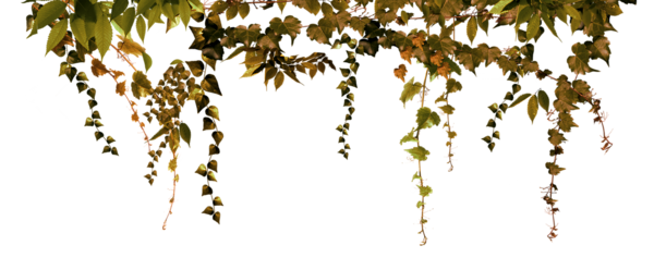 TADD_elements_AutumnFairyTales (28)