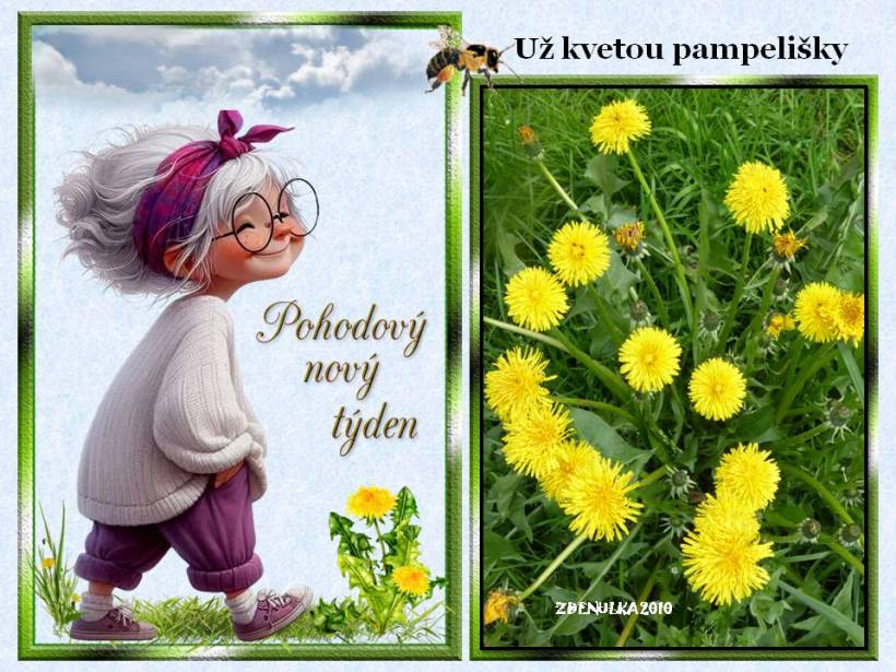 uz-kvetou-pampelisky