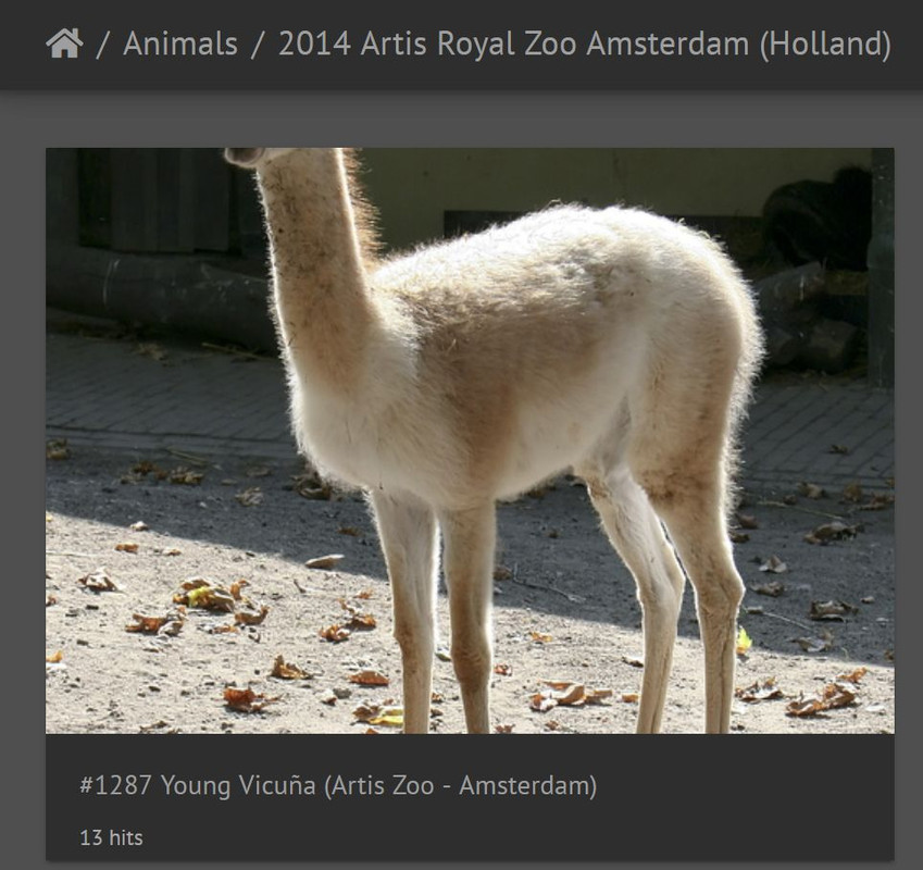 $an-.postimg.org  Pimpandhost ) Bootstrap Darkroom Theme] Thumbnails Portrait Cut Off? | Piwigo.org