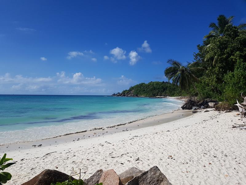 DÍA 4:  PRASLIN (sur) - Seychelles-2ª parte de nuestra luna de miel. Se puede pedir más? (15)