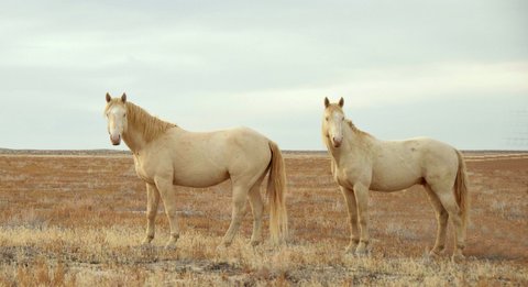 Davis_Riverbed  19th November 2014 345copy (1)