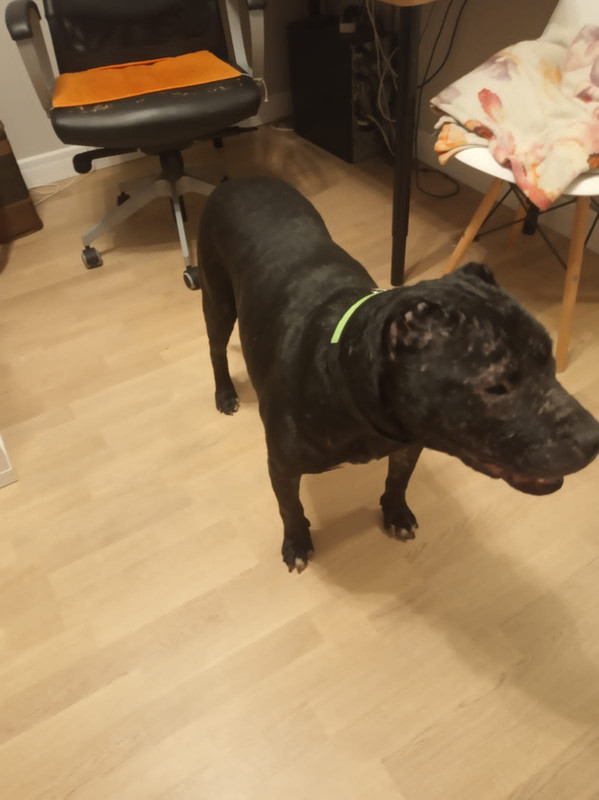 C5A942F6-9EC3-44B0-8295-7E0DC6B24D9D