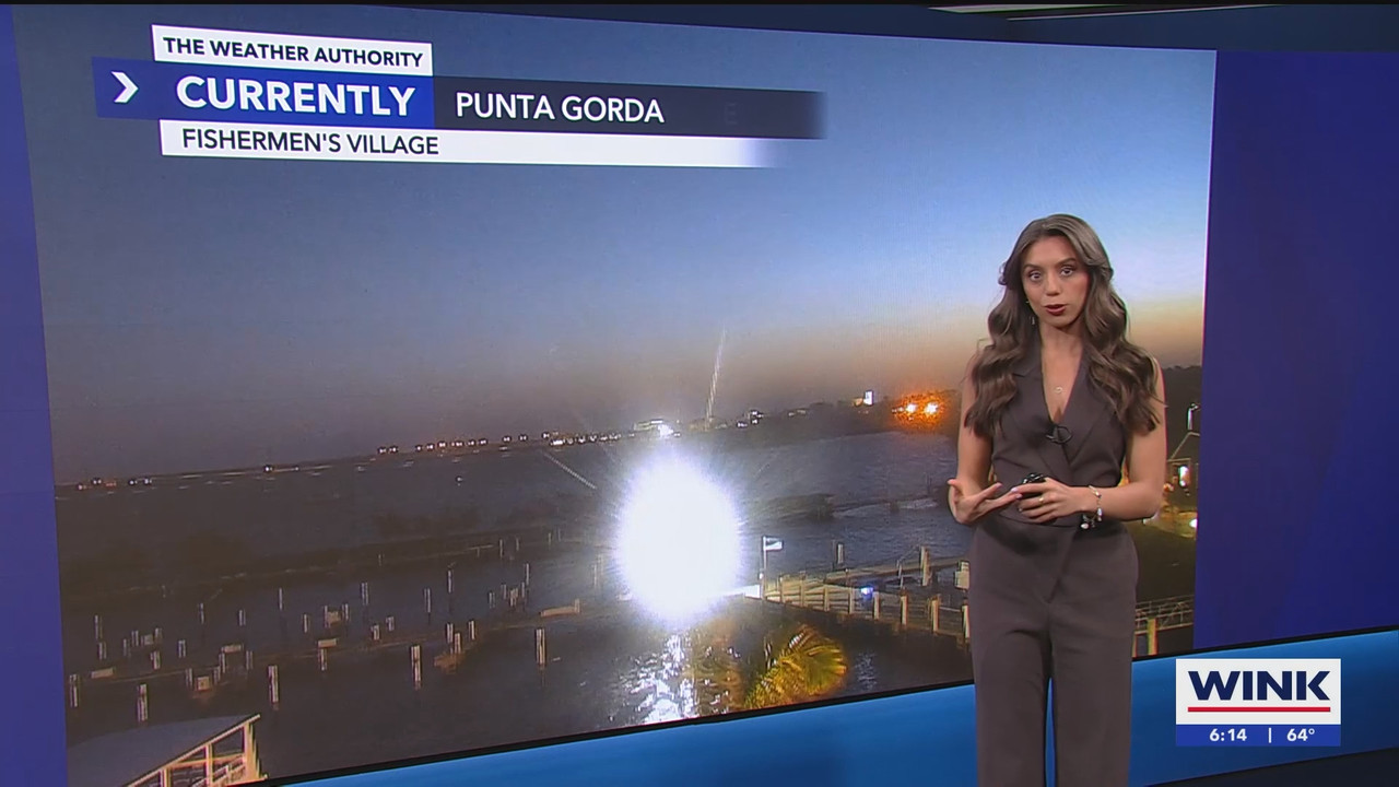 WINK News at 600am_20250306_11001130.ts_snapshot_15.15.948