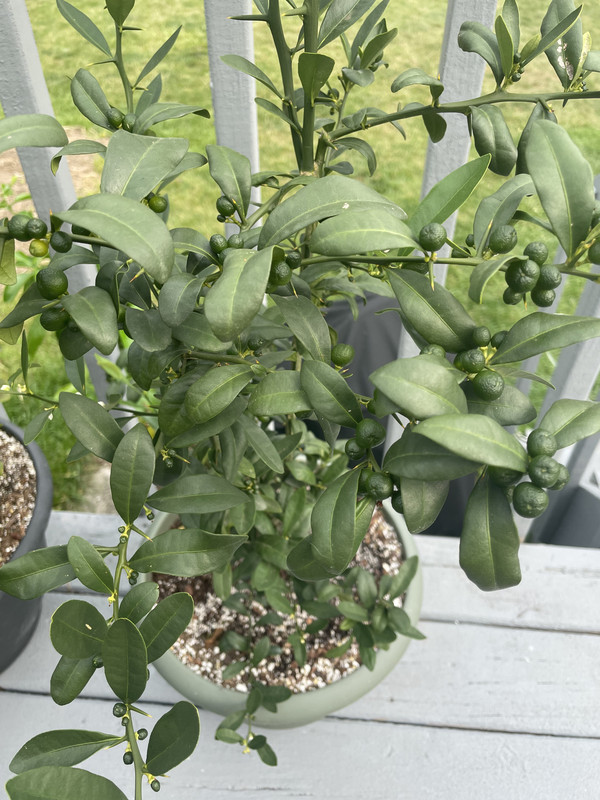 CC288E9A-819F-41C9-AF9E-1DA199D91F22