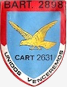 CArt2631
