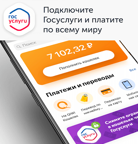 Киви самый быстрорастущий мобильный кошелёк в России