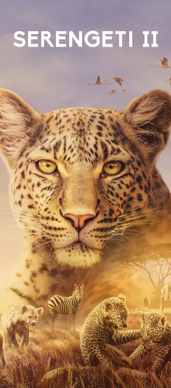 Serengeti Season 2